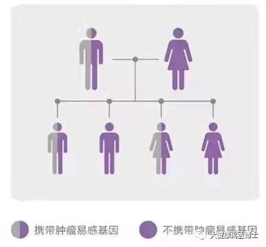 健康托付，關(guān)愛(ài)彼此 腫瘤基因檢測(cè)在療養(yǎng)院中的守護(hù)與溫度